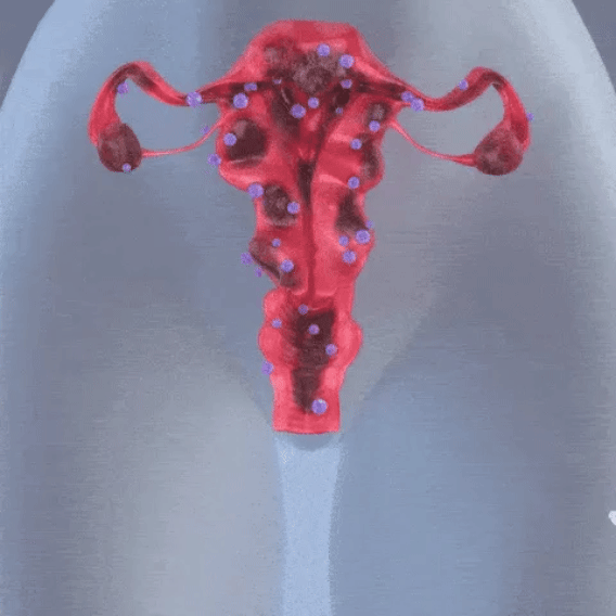 Alisanda Feminine Care Gel image Alisanda Feminine Care Gel