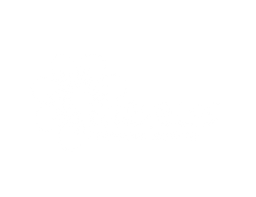 Earyrise